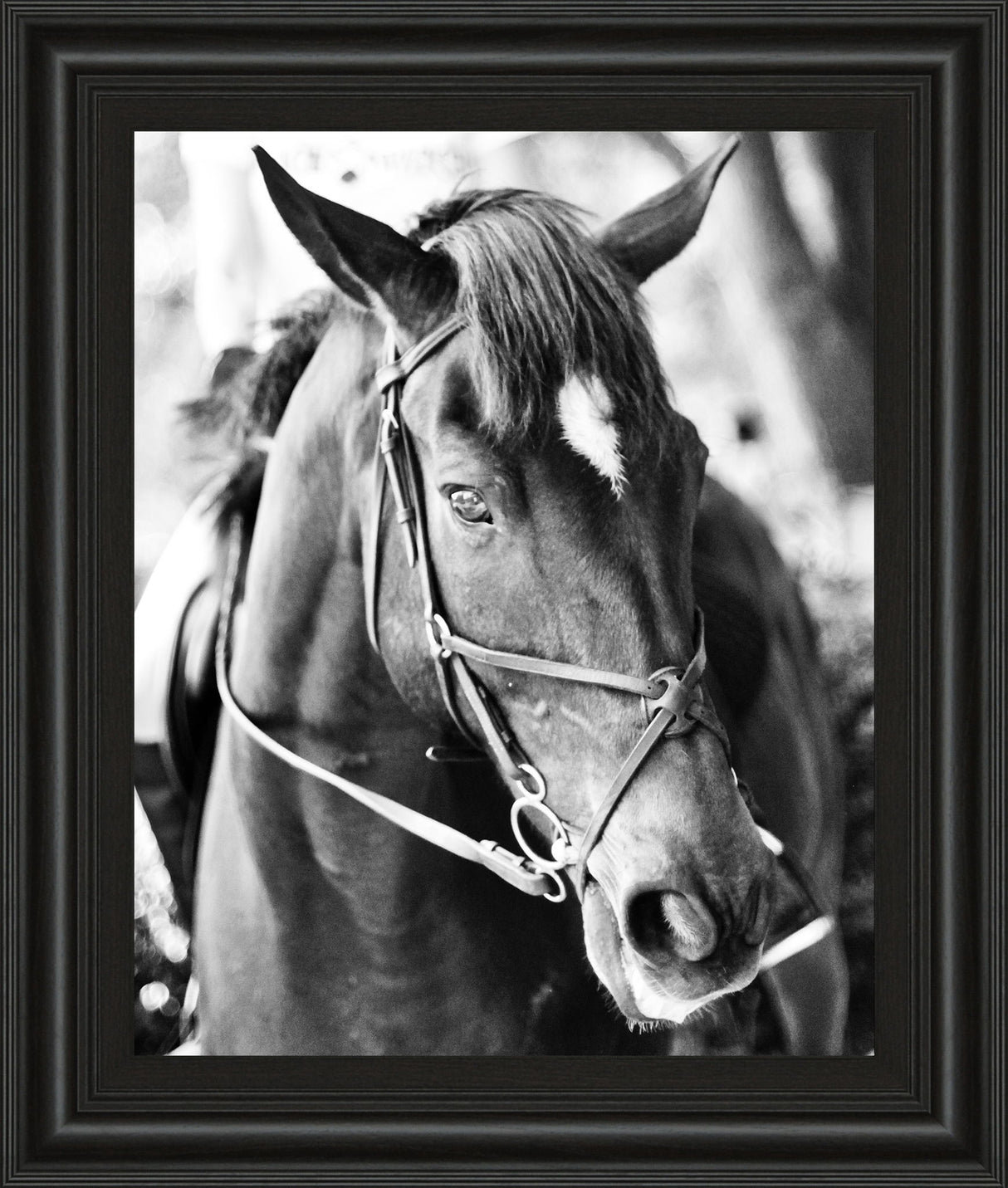 Derby I By Susan Bryant - Framed Print Wall Art - Dark Gray