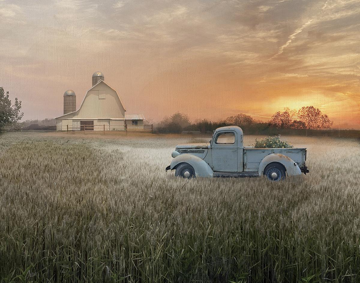 Evening Farm By Nan (Framed) (Small) - Light Brown