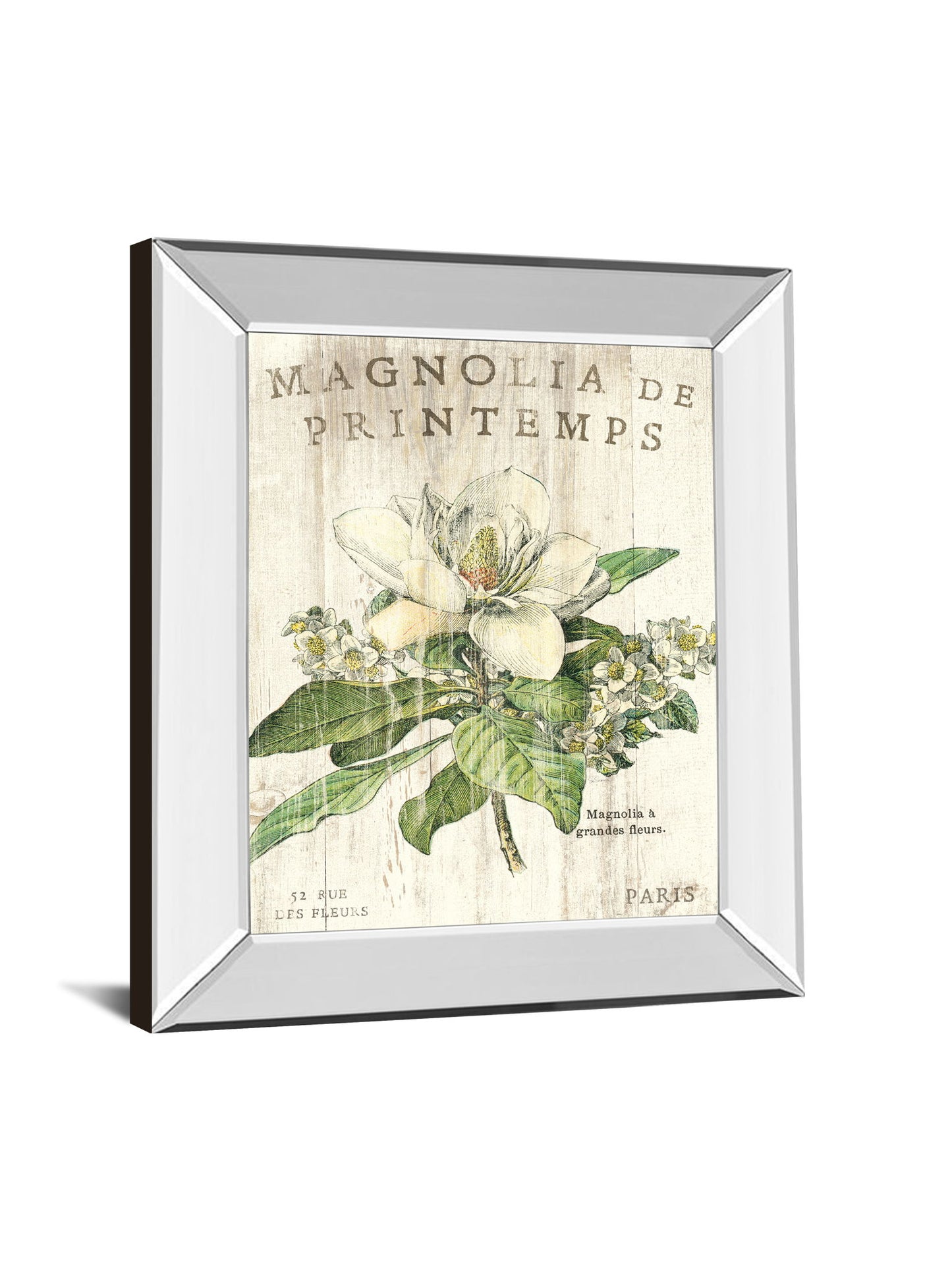 Magnolia De Printemps By Sue Schlabach - Mirror Framed Print Wall Art - Beige