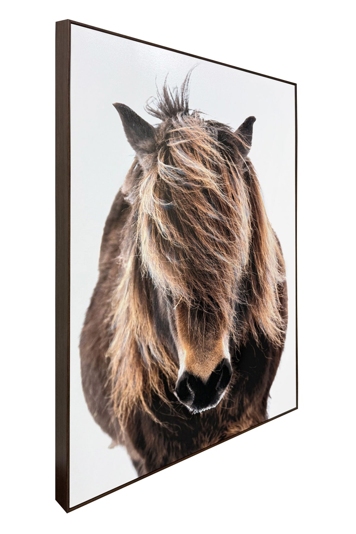 Untamed Forelock - 32 X 48 - Hand-Embellished Canvas In Frame - Brown