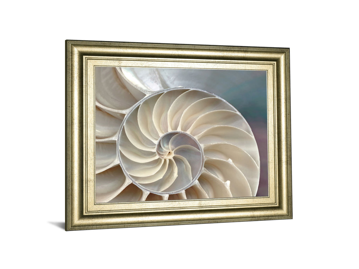 Nautilus By Levine, A. - Framed Print Wall Art - Silver