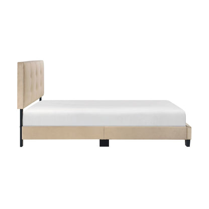 Newberry - Platform Bed