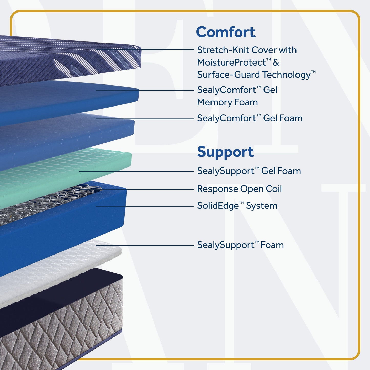 Golden Elegance - Forsyth Park Soft Mattress