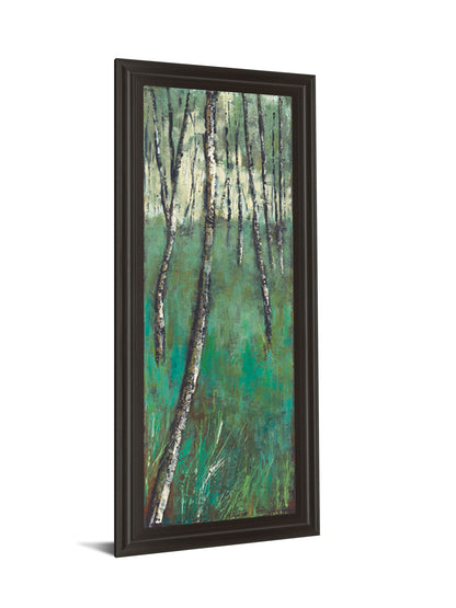 Nature Companion Il By Solis - Framed Print Wall Art - Green
