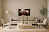 "Courtside Essence" Gloss Canvas - Gloss / Brown