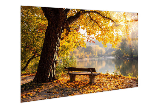 Autumn Lakeside Tempered Glass With Foil - Gold / Brown