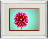 Zenia By Gail Peck - Mirror Framed Print Wall Art - Pink