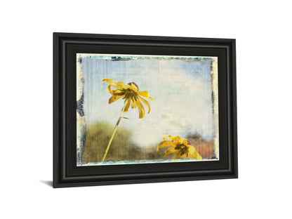 Blackeyed Susan Il By Meghan Mcsweeney - Framed Print Wall Art - Light Blue