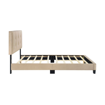 Newberry - Platform Bed