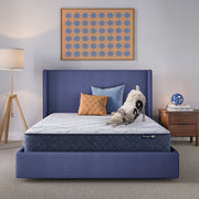 Perfect Day - 10" Serta Medium Mattress in a Box