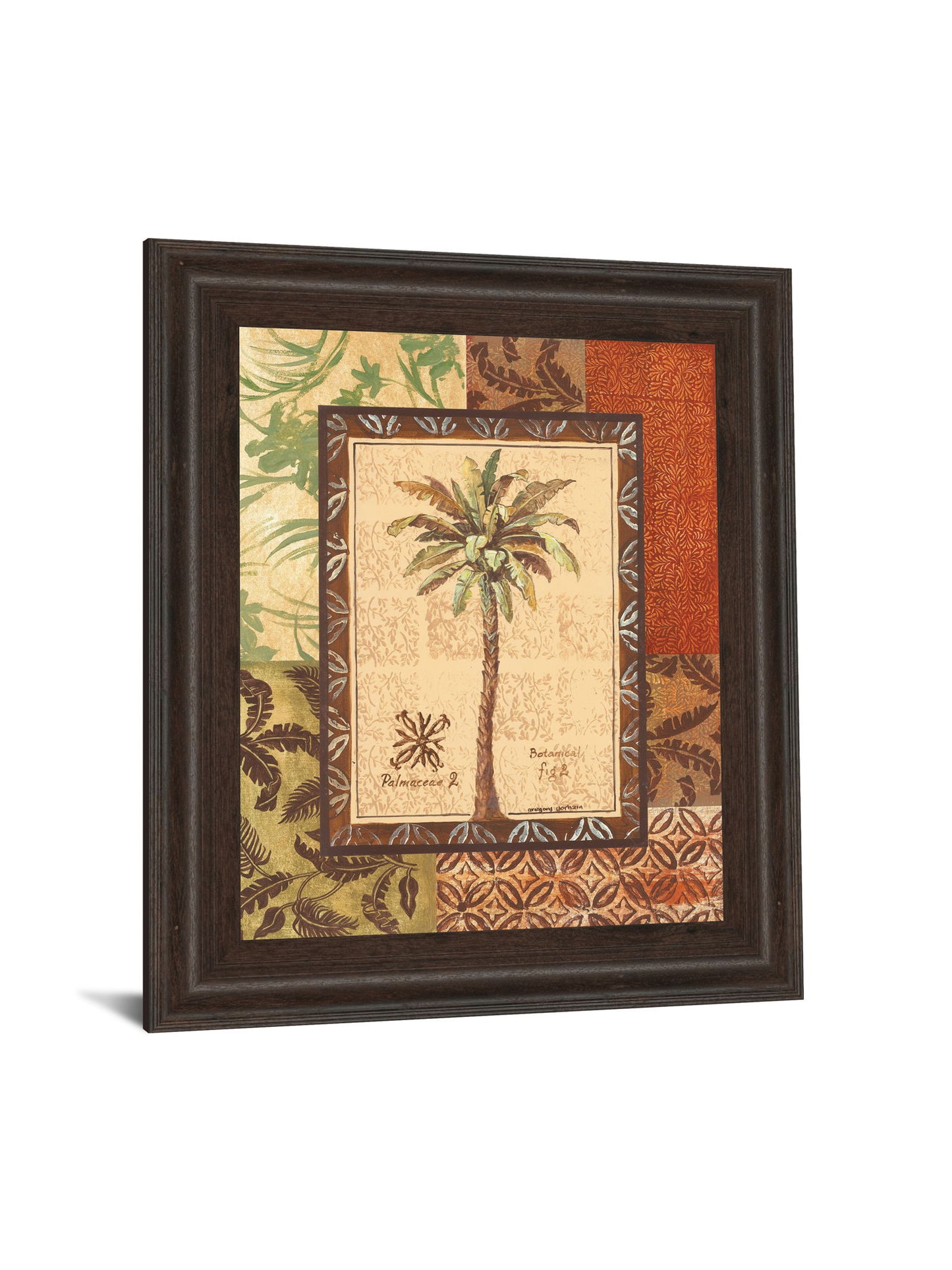 Palmaceae Il By Gregory Gorham - Framed Print Wall Art - Light Brown