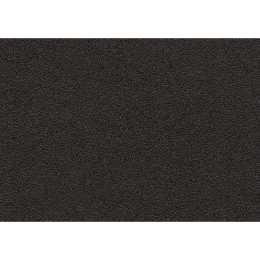 Dawson - Double Reclining Sofa - Brown