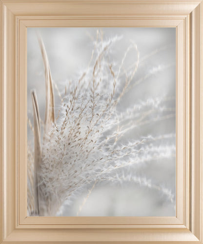 22x26 Summer Wisps I By Irene Weisz - Silver