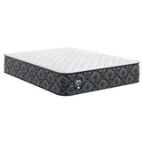 Perfect Sleeper - 13" Cascade Canyon Firm Mattress