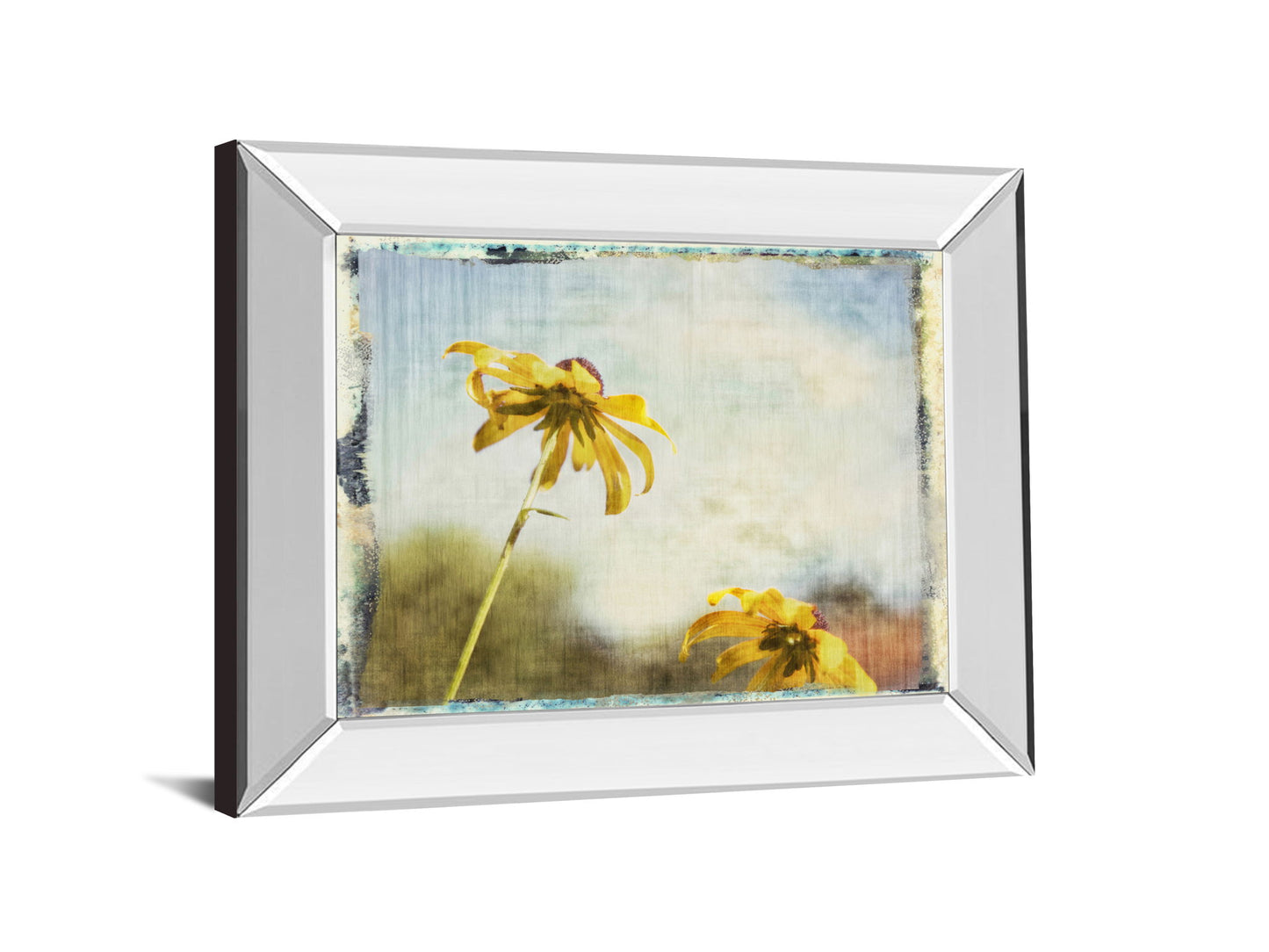 Blackeyed Susan Il By Meghan Mcsweeney - Mirror Framed Print Wall Art - Light Blue