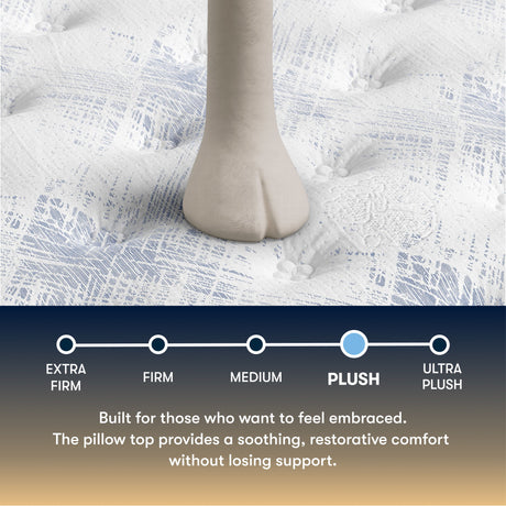 Perfect Sleeper - 15" Cascade Range Plush Pillow Top Mattress