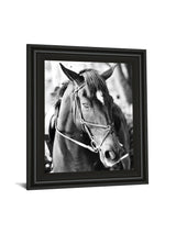 Derby I By Susan Bryant - Framed Print Wall Art - Dark Gray