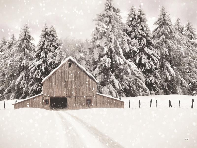North Country By Lori Deiter (Framed) - Beige