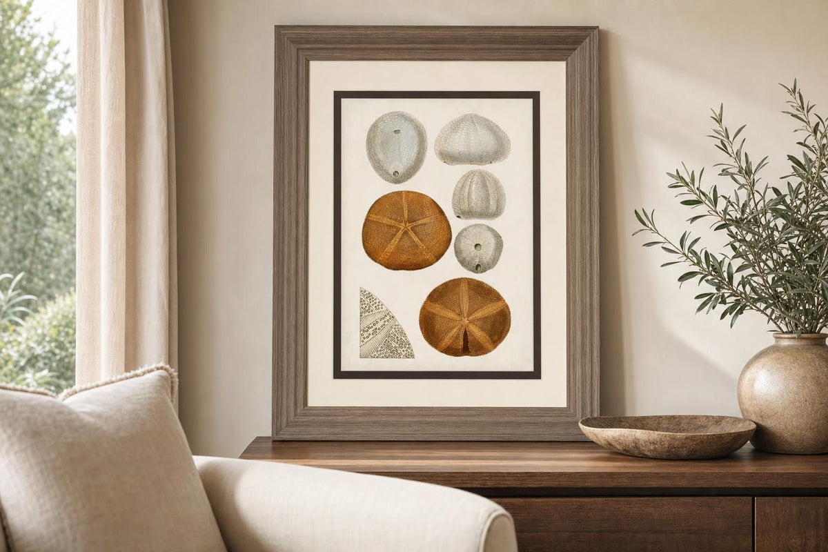 34x40 Coastal Curiosity II By Unknown - Beige