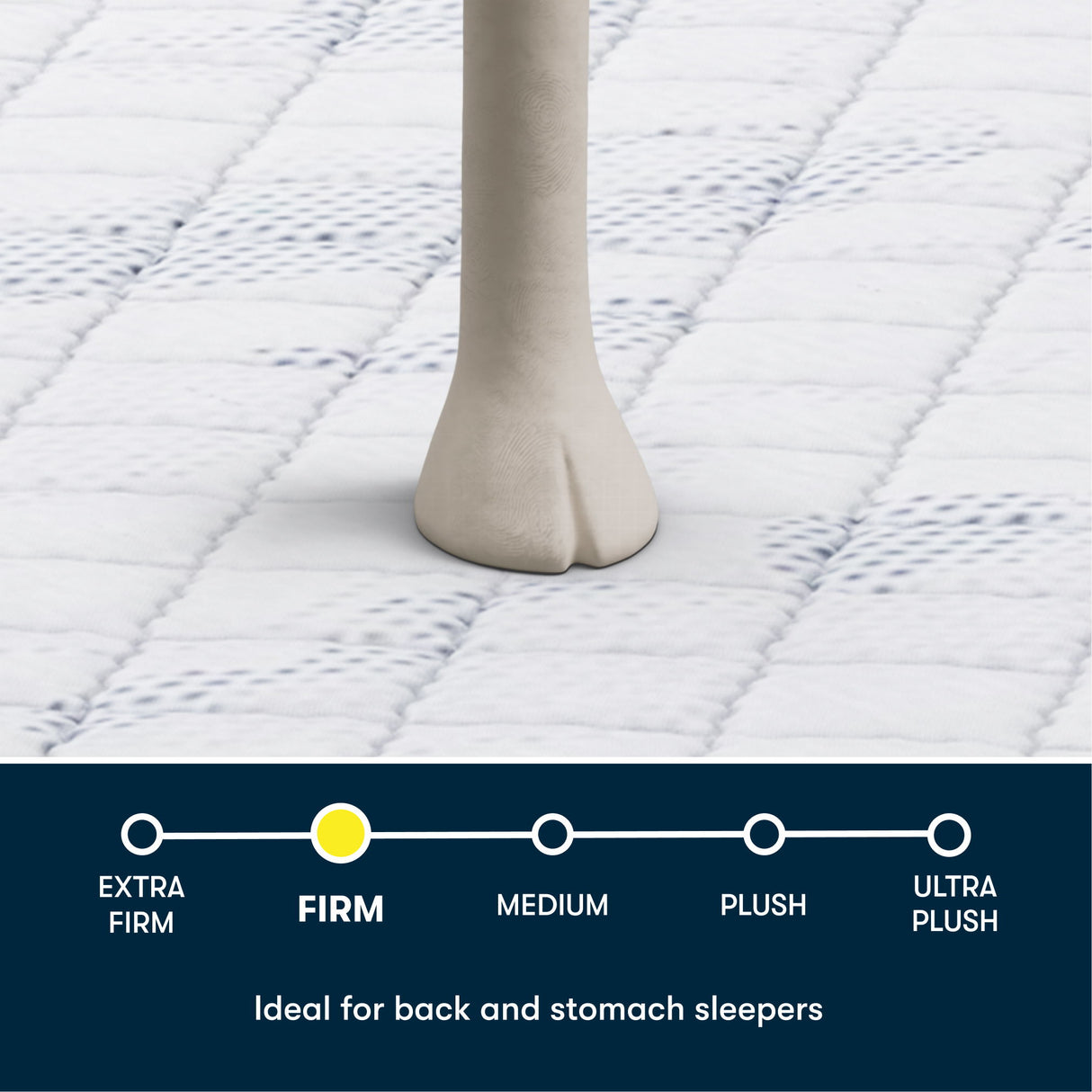 Perfect Day - 12" Serta Firm Mattress in a Box