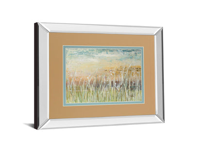 Muted Grass By Patricia Pinto - Mirror Framed Print Wall Art - Light Brown