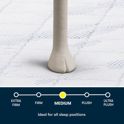 Perfect Day - 10" Serta Medium Mattress in a Box