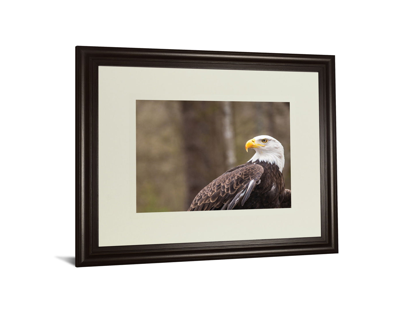 Majestic Eagle By Garytog Double Matted - Framed Print Wall Art - Light Brown