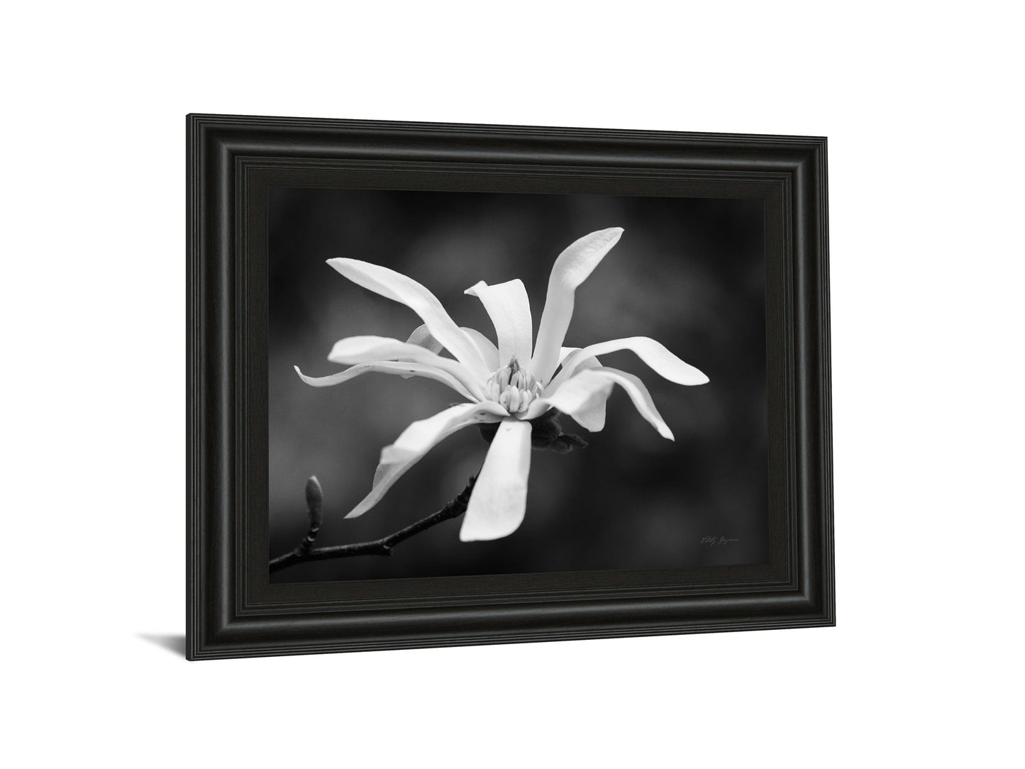 Magnolia Dreams I By Geyman Vitaly - Framed Print Wall Art - Dark Gray