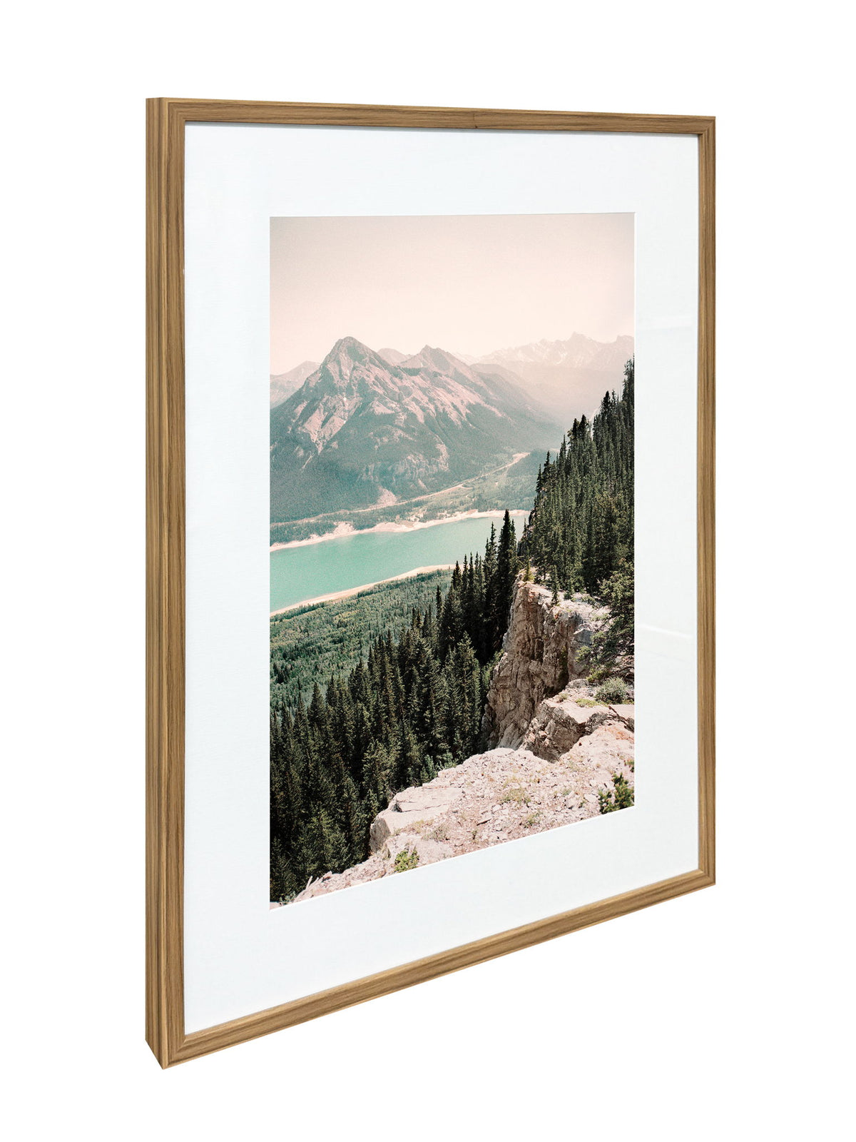 Pinebound Light I - 24 X 32 - Framed Print Under Glass - Green