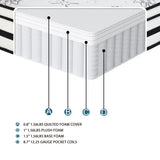 Vela - 12" Hybrid Mattress