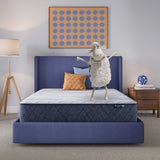 Perfect Day - 12" Serta Firm Mattress in a Box