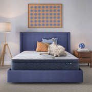 Perfect Day - 12" Serta Plush Pillow Top Mattress in a Box