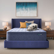Five Star Mattress - 16" Perfect Day Plush Pillow Top Mattress in a Box