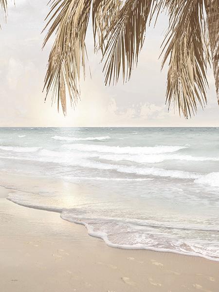 Coastal Dreams Iv By Amber Sterling (Framed Small) - Beige