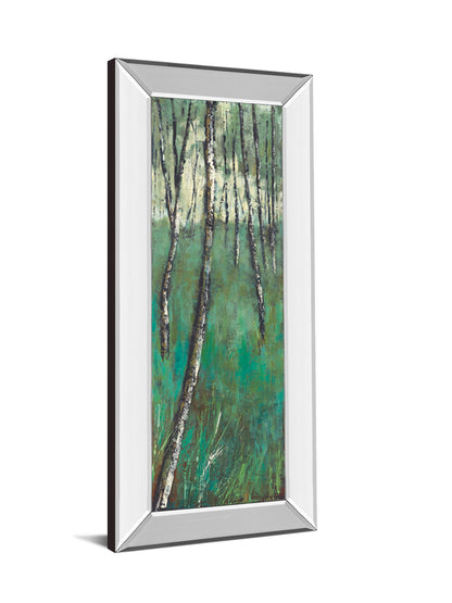 Nature Companion Il By Solis - Mirror Framed Print Wall Art - Green