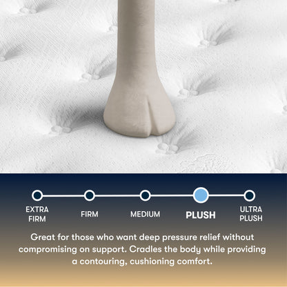 Perfect Sleeper - 12.5" Cascade Ridge Plush Mattress
