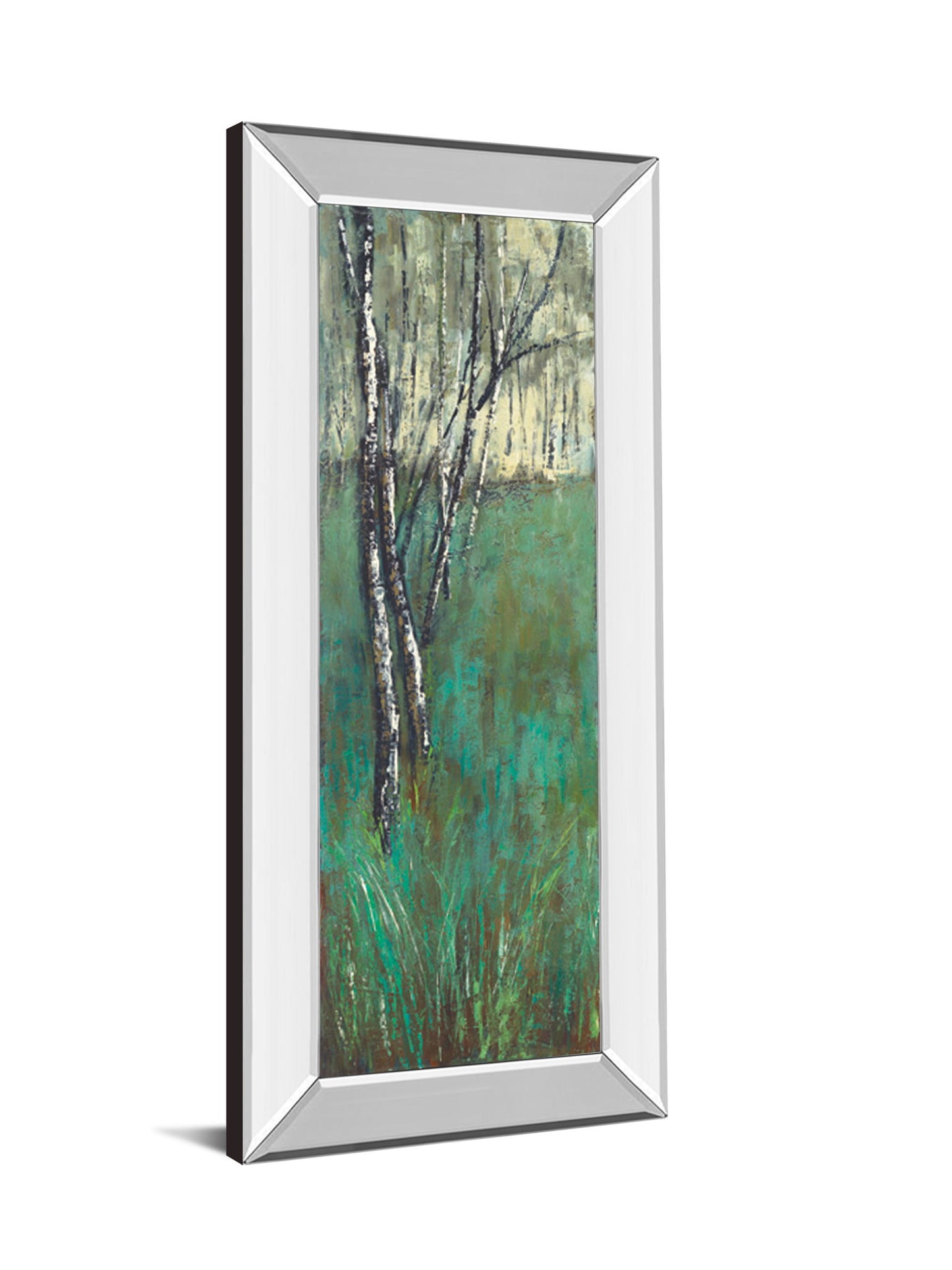 Nature Companion I By Solis - Mirror Framed Print Wall Art - Green