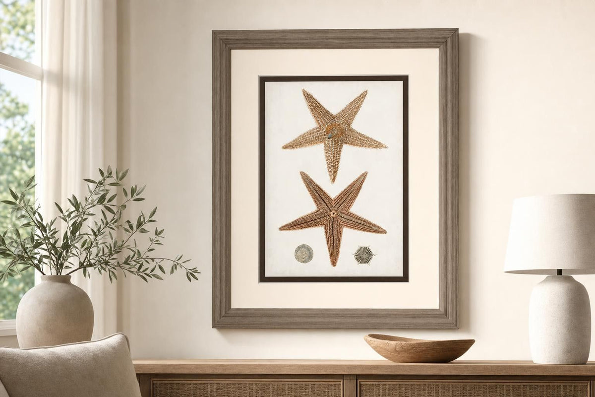 34x40 Coastal Curiosity I By Unknown - Light Brown