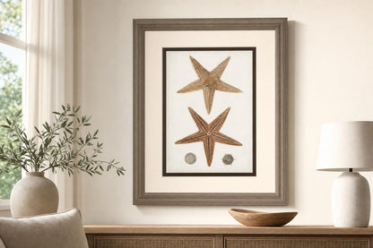 34x40 Coastal Curiosity I By Unknown - Light Brown