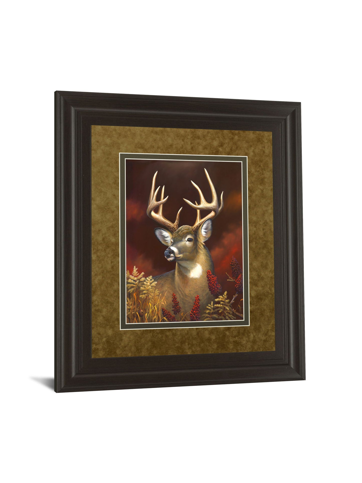 Deer Portrait By Leo Stans Double Matted - Framed Print Wall Art - Light Brown