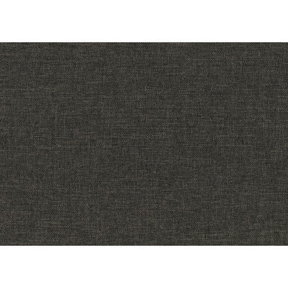 Vining - Daybed With Trundle - Dark Gray