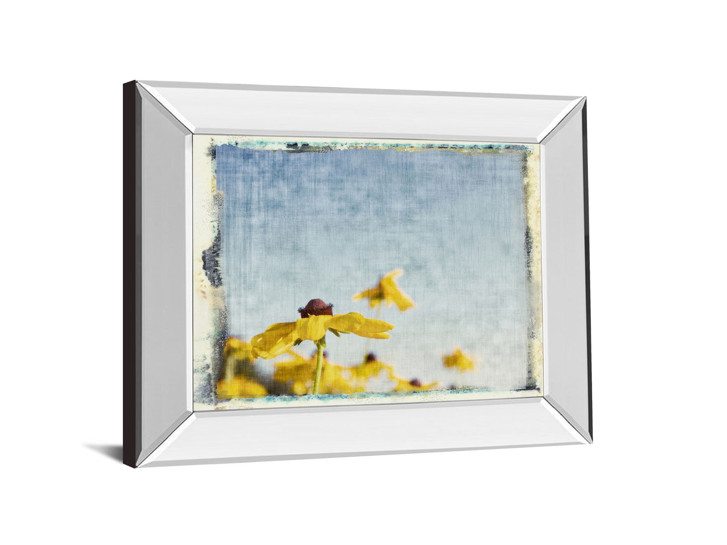 Blackeyed Susan's I By Meghan Mc Sweeney - Mirror Framed Print Wall Art - Light Blue