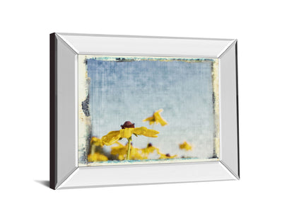 Blackeyed Susan's I By Meghan Mc Sweeney - Mirror Framed Print Wall Art - Light Blue