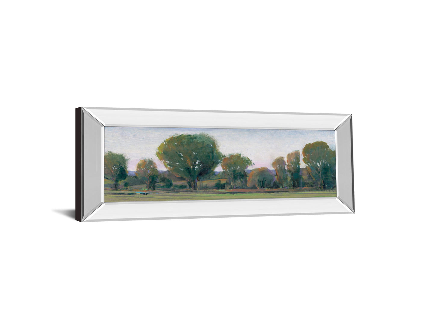 Panoramic Treeline Il By Tim Otoole - Mirror Framed Print Wall Art - Dark Green