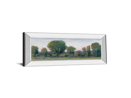 Panoramic Treeline Il By Tim Otoole - Mirror Framed Print Wall Art - Dark Green