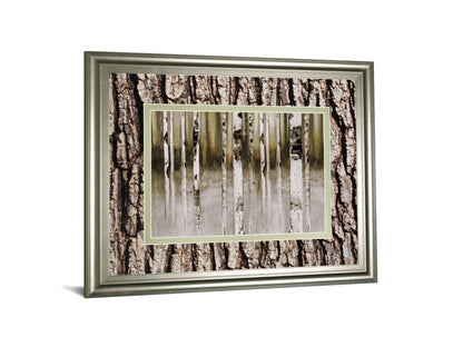 Fern Creek By Susan Jill Double Matted - Framed Wall Art - Light Brown