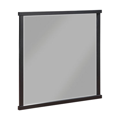 Acworth - Mirror - Brown / Black