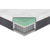 Findlay - Green Tea Gel Infused Memory Foam Hybrid Mattress