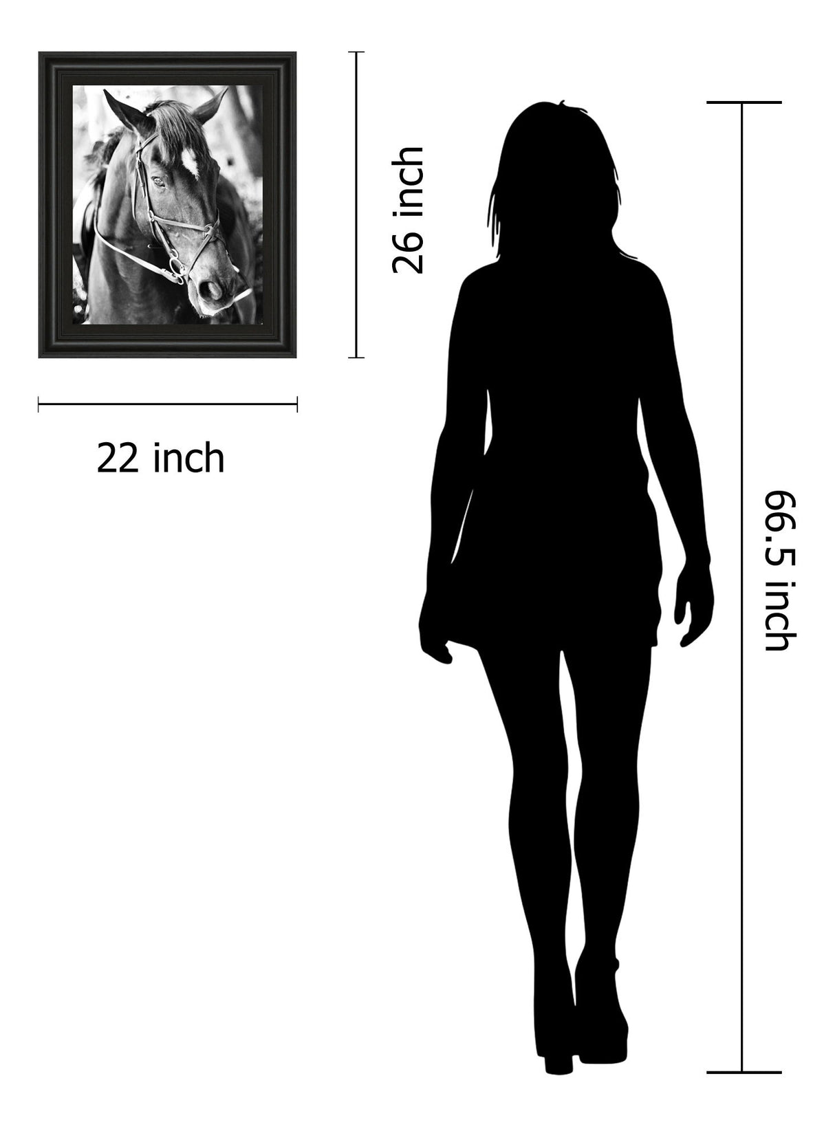 Derby I By Susan Bryant - Framed Print Wall Art - Dark Gray