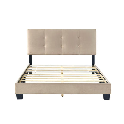 Newberry - Platform Bed